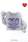 250th American Independence Plus Graphic - Adult & Kids T-Shirts, Sweatshirts & Hoodies apparel design preview 1