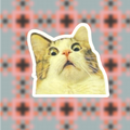 Scaredy Cat Sticker - Adult & Kids T-Shirts, Sweatshirts & Hoodies apparel design preview 1