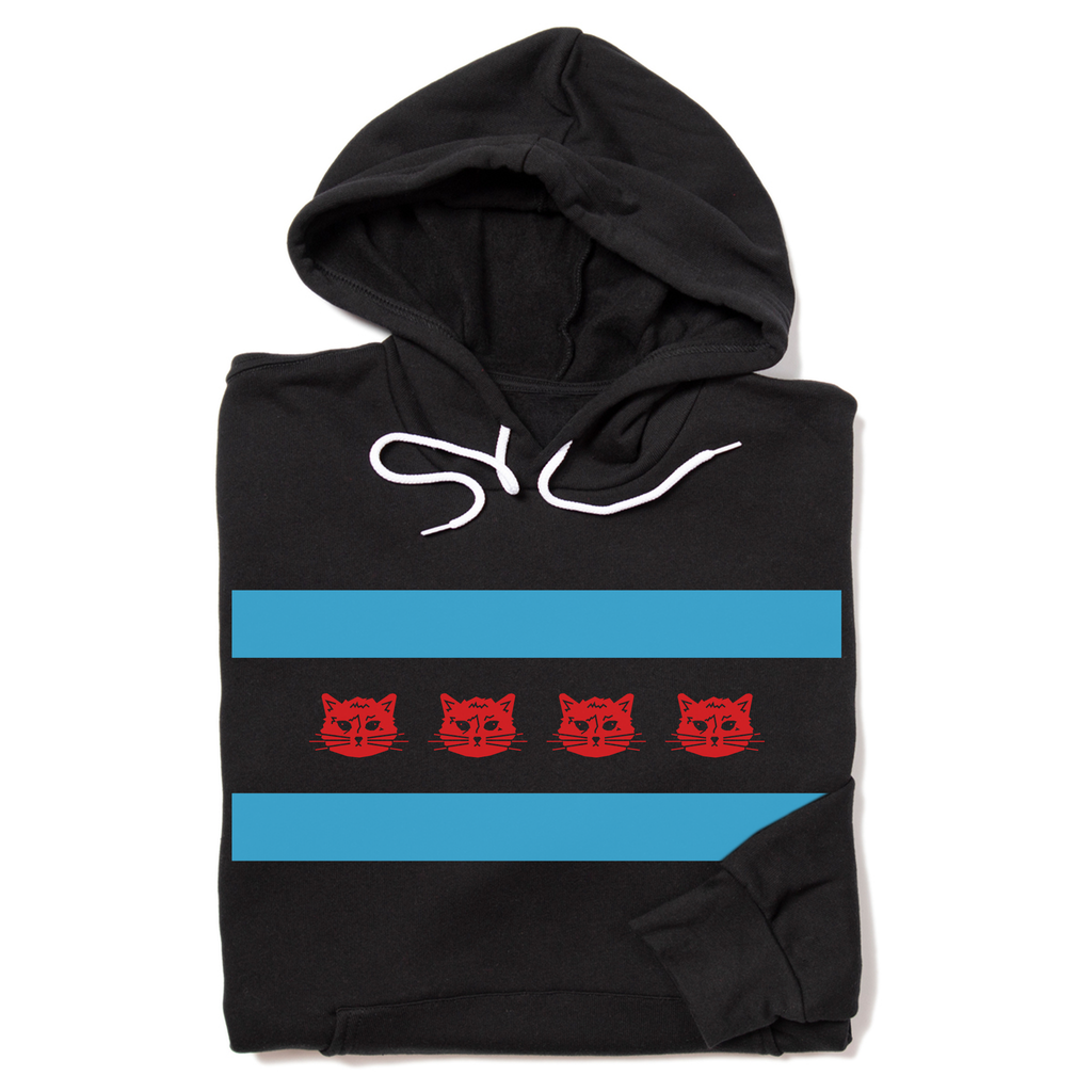 Chicago Flag Gary - Adult & Kids T-Shirts, Sweatshirts & Hoodies apparel design preview 1