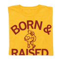 Cyclones Born Raised - Adult & Kids T-Shirts, Sweatshirts & Hoodies apparel design preview 1