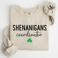 Shenanigans Coordinator, Funny, St Patrick's Day - Adult & Kids T-Shirts, Sweatshirts & Hoodies apparel design preview 1