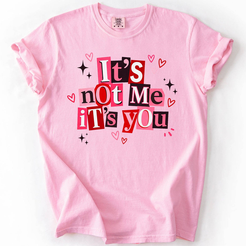 It's Not You, Me, Valentine's Day, Love, Funny, - Adult & Kids T-Shirts, Sweatshirts & Hoodies apparel design preview 1