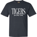 Custom Team Color Christian Apparel School Spirit - Adult & Kids T-Shirts, Sweatshirts & Hoodies apparel design preview 1