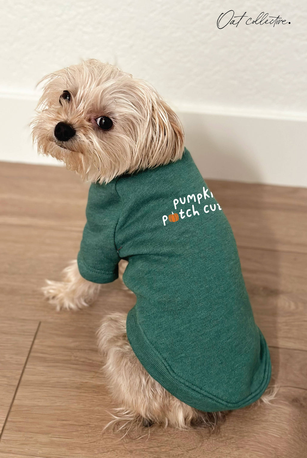 Pumpkin Patch Cutie Pet Graphic - Adult & Kids T-Shirts, Sweatshirts & Hoodies apparel design preview 1
