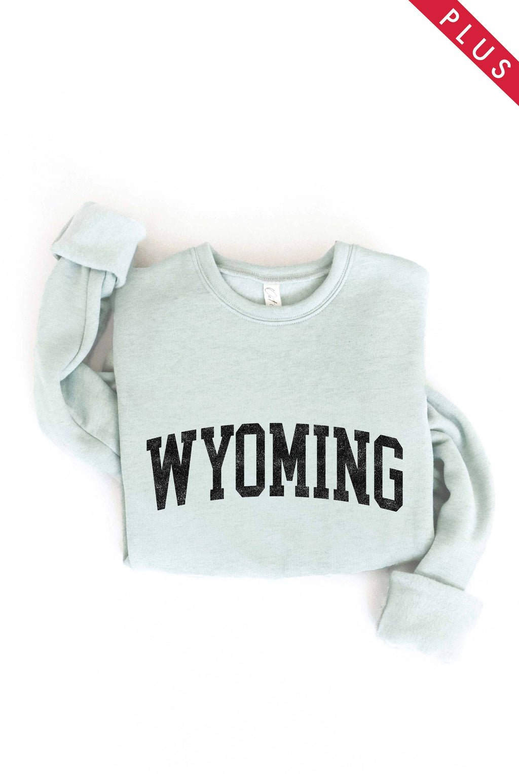 Wyoming Plus Graphic - Adult & Kids T-Shirts, Sweatshirts & Hoodies apparel design preview 1