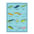 Midwestern Fish Greeting Card - Adult & Kids T-Shirts, Sweatshirts & Hoodies apparel design preview 1