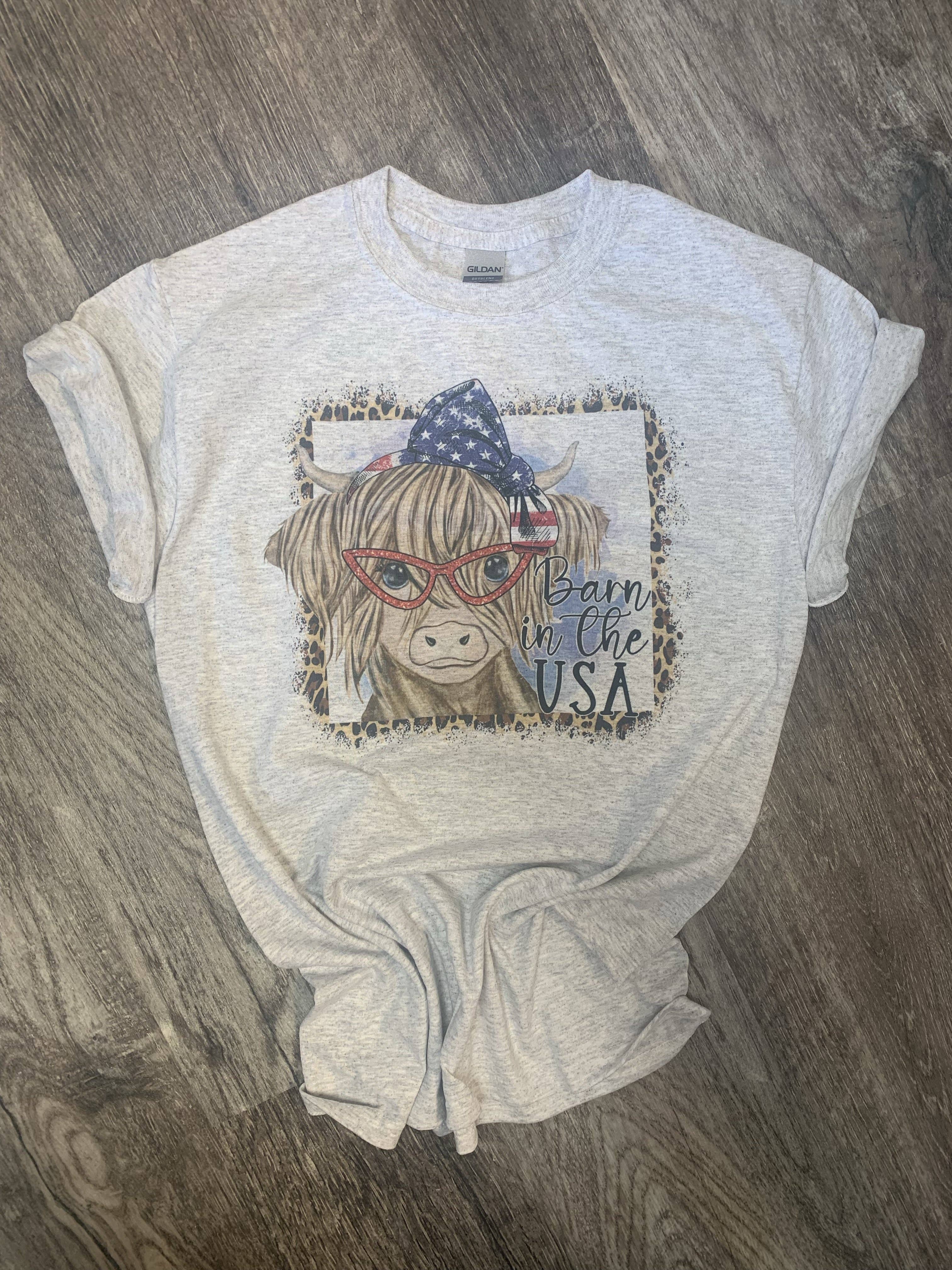 Barn in the USA On Ash Gray - Adult & Kids T-Shirts, Sweatshirts & Hoodies apparel design preview 1