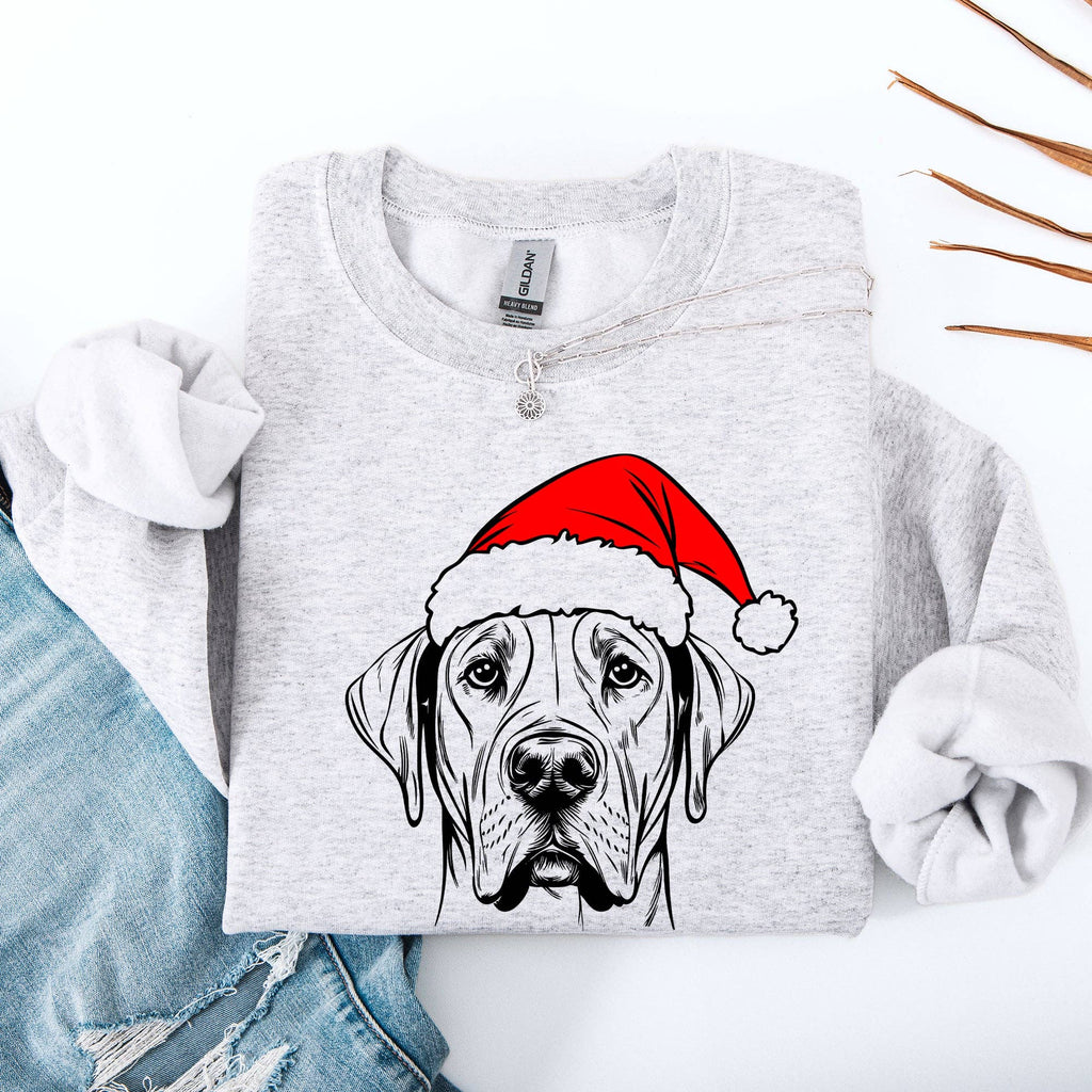 Great Dane, Santa, Dog, Christmas, Lover, Pet - Adult & Kids T-Shirts, Sweatshirts & Hoodies apparel design preview 1