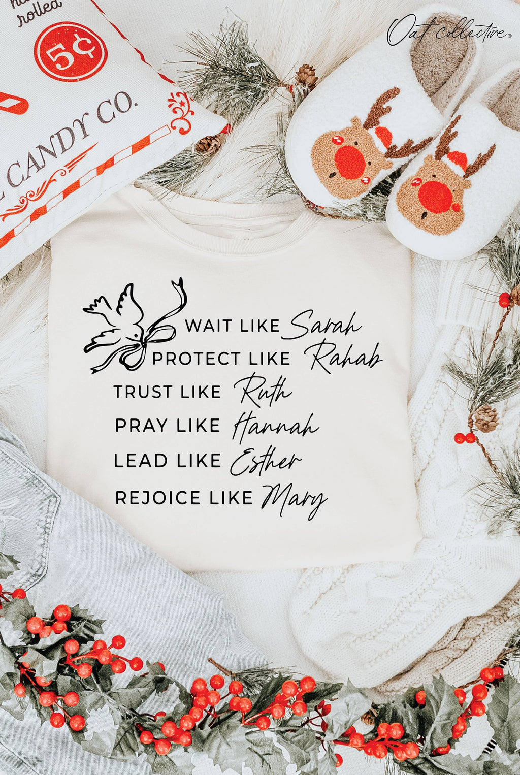 Women of the Bible Graphic - Adult & Kids T-Shirts, Sweatshirts & Hoodies apparel design preview 1