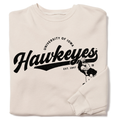 Hawkeyes Script Logo Crew - Adult & Kids T-Shirts, Sweatshirts & Hoodies apparel design preview 1