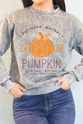 Farmers Market Pumpkin Mineral Graphic Brushed - Adult & Kids T-Shirts, Sweatshirts & Hoodies apparel design preview 1