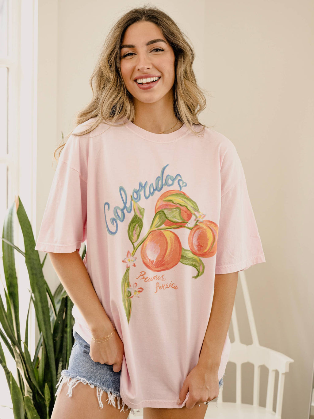 Colorado Fruit Blossom Comfort Colors - Adult & Kids T-Shirts, Sweatshirts & Hoodies apparel design preview 1