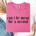 Can I Be Mean For A Second, Sassy, Funny, Sarcastic - Adult & Kids T-Shirts, Sweatshirts & Hoodies apparel design preview 1