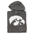 Tigerhawk Logo - Adult & Kids T-Shirts, Sweatshirts & Hoodies apparel design preview 1