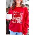Believe the Polar Express Christmas Vintage Graphic - Adult & Kids T-Shirts, Sweatshirts & Hoodies apparel design preview 1
