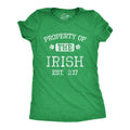 Property of the Irish Women's - Adult & Kids T-Shirts, Sweatshirts & Hoodies apparel design preview 1