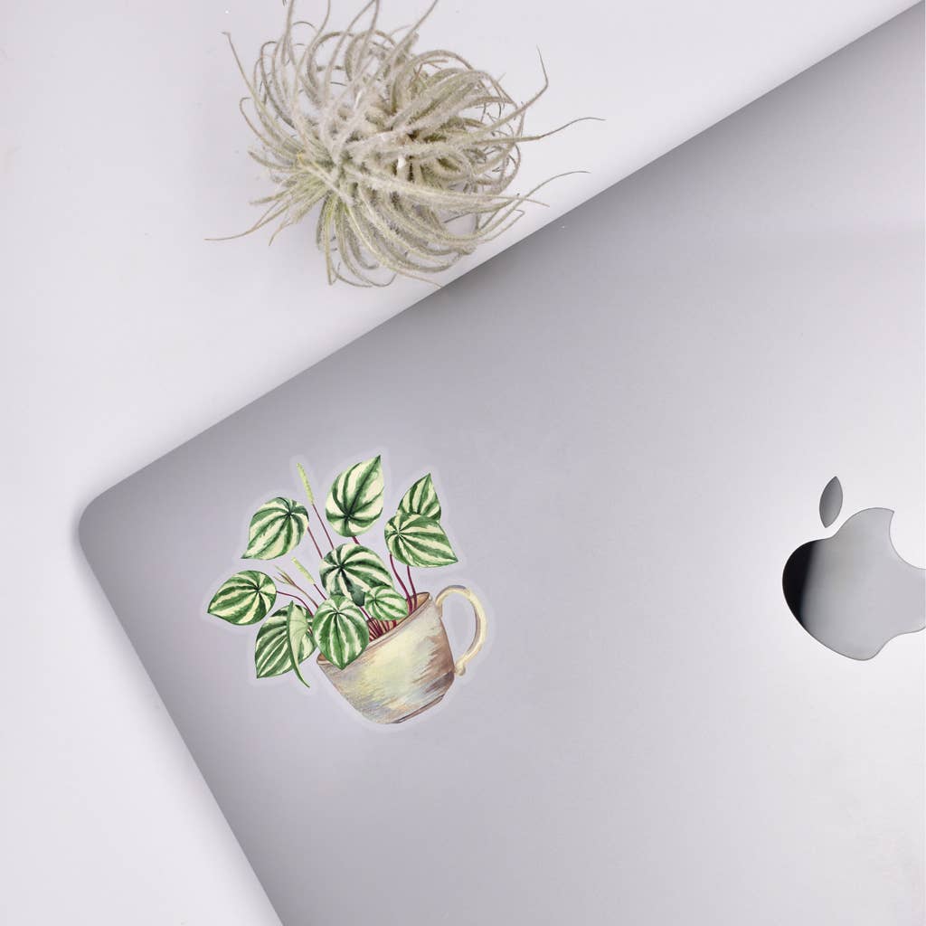 Watermelon Peperomia Sticker House Plant Stickers - Adult & Kids T-Shirts, Sweatshirts & Hoodies apparel design preview 1