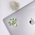 Watermelon Peperomia Sticker House Plant Stickers - Adult & Kids T-Shirts, Sweatshirts & Hoodies apparel design preview 1