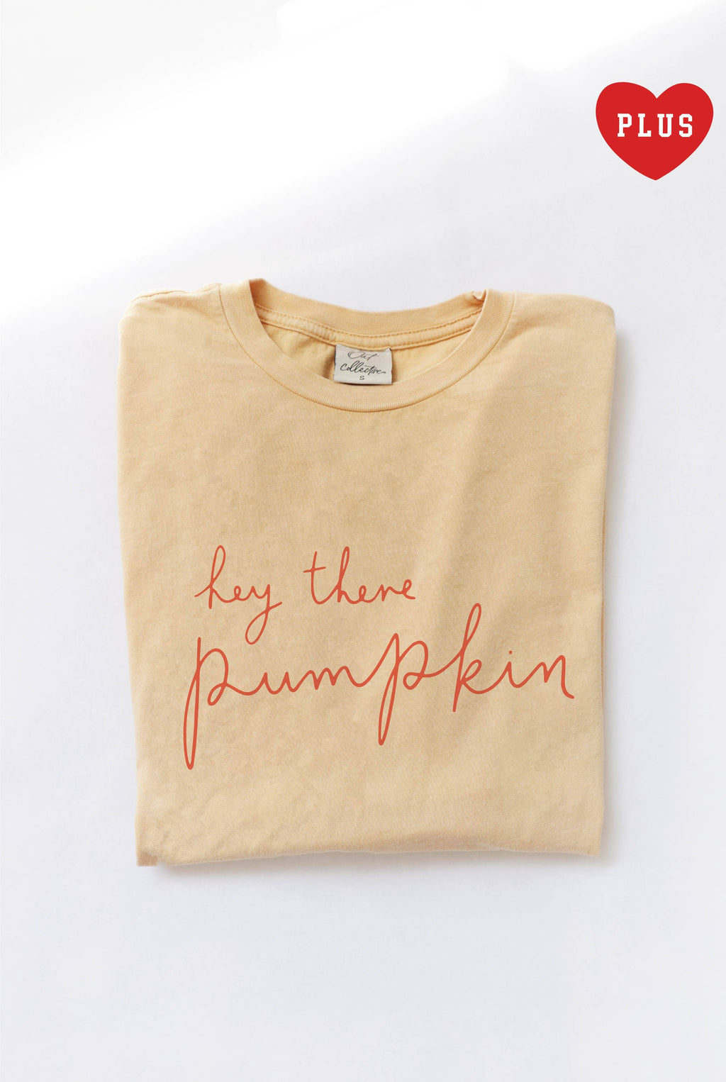 Hey There Pumpkin Plus Mineral Graphic Top - Adult & Kids T-Shirts, Sweatshirts & Hoodies apparel design preview 1