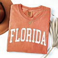 Florida Football Sports Game Day Tailgate Party State - Adult & Kids T-Shirts, Sweatshirts & Hoodies apparel design preview 1