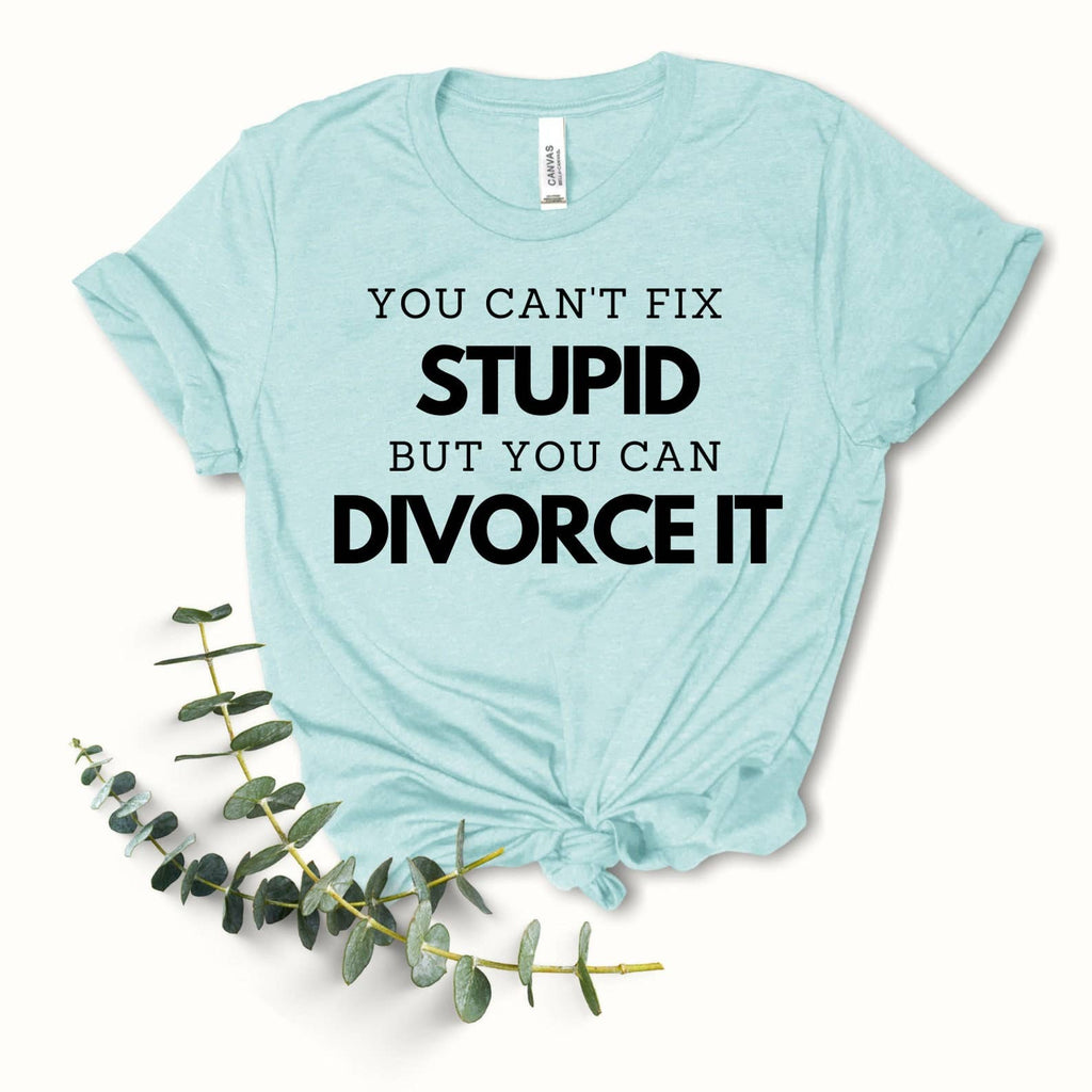 You Can't Fix Stupid - Adult & Kids T-Shirts, Sweatshirts & Hoodies apparel design preview 1