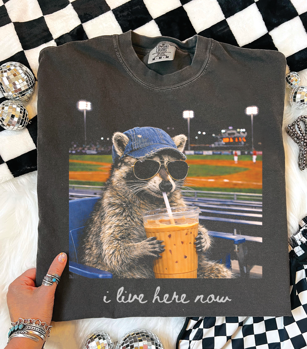 Baseball I Live Here Now Comfort Color Pepper - Adult & Kids T-Shirts, Sweatshirts & Hoodies apparel design preview 1