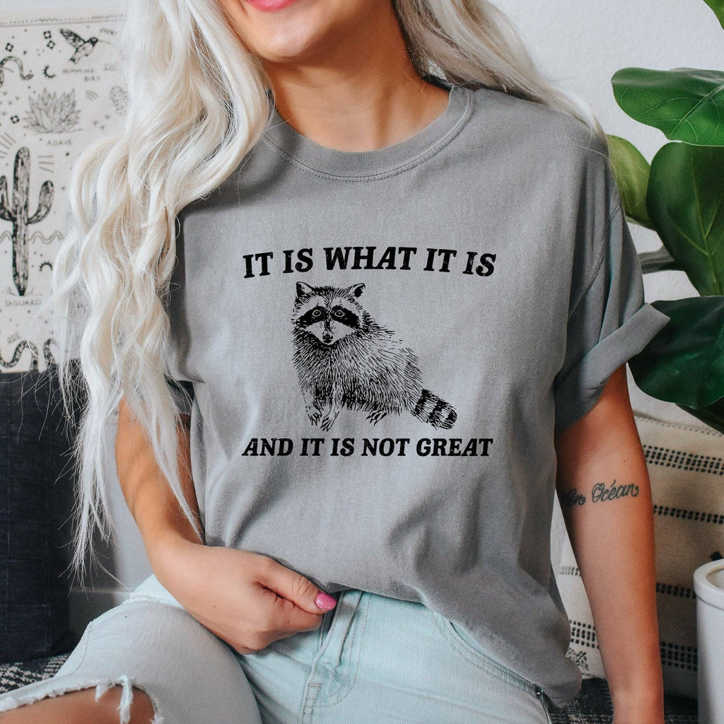 It Is What and Not Great, Raccoon, Meme, Aesthetic, - Adult & Kids T-Shirts, Sweatshirts & Hoodies apparel design preview 1