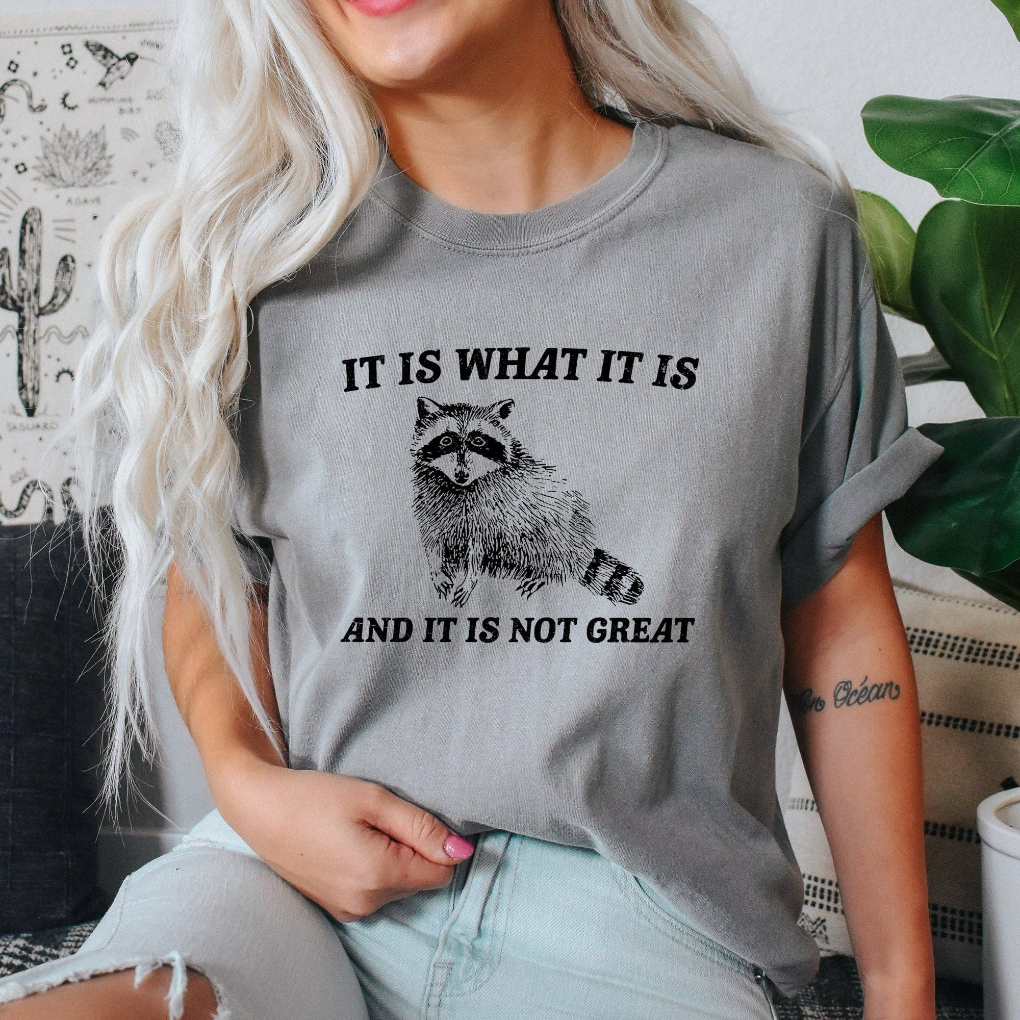 It Is What and Not Great, Raccoon, Meme, Aesthetic, - Adult & Kids T-Shirts, Sweatshirts & Hoodies apparel design preview 1