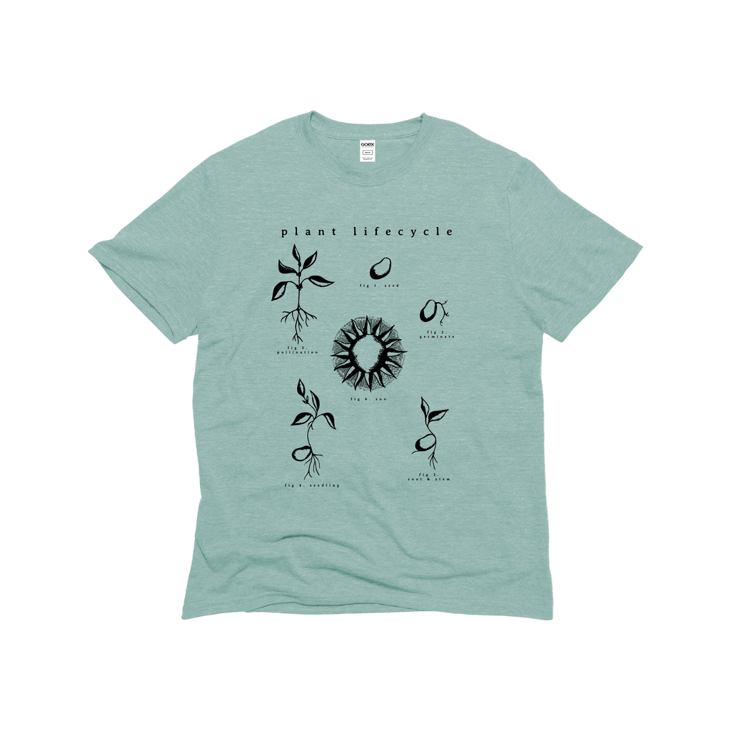 Plant Life Cycle Graphic Sage 12pk - Adult & Kids T-Shirts, Sweatshirts & Hoodies apparel design preview 1
