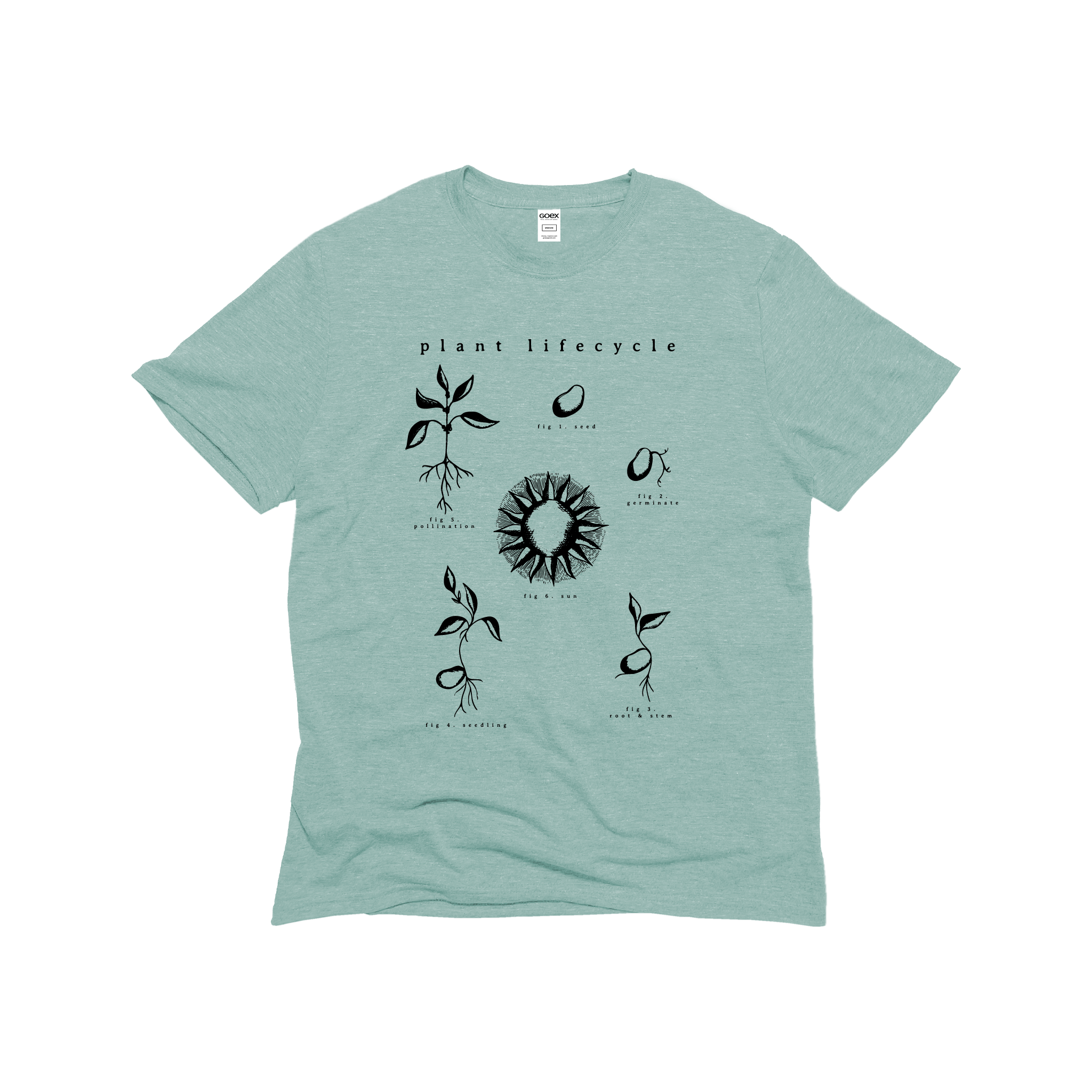 Plant Life Cycle Graphic Sage 12pk - Adult & Kids T-Shirts, Sweatshirts & Hoodies apparel design preview 1