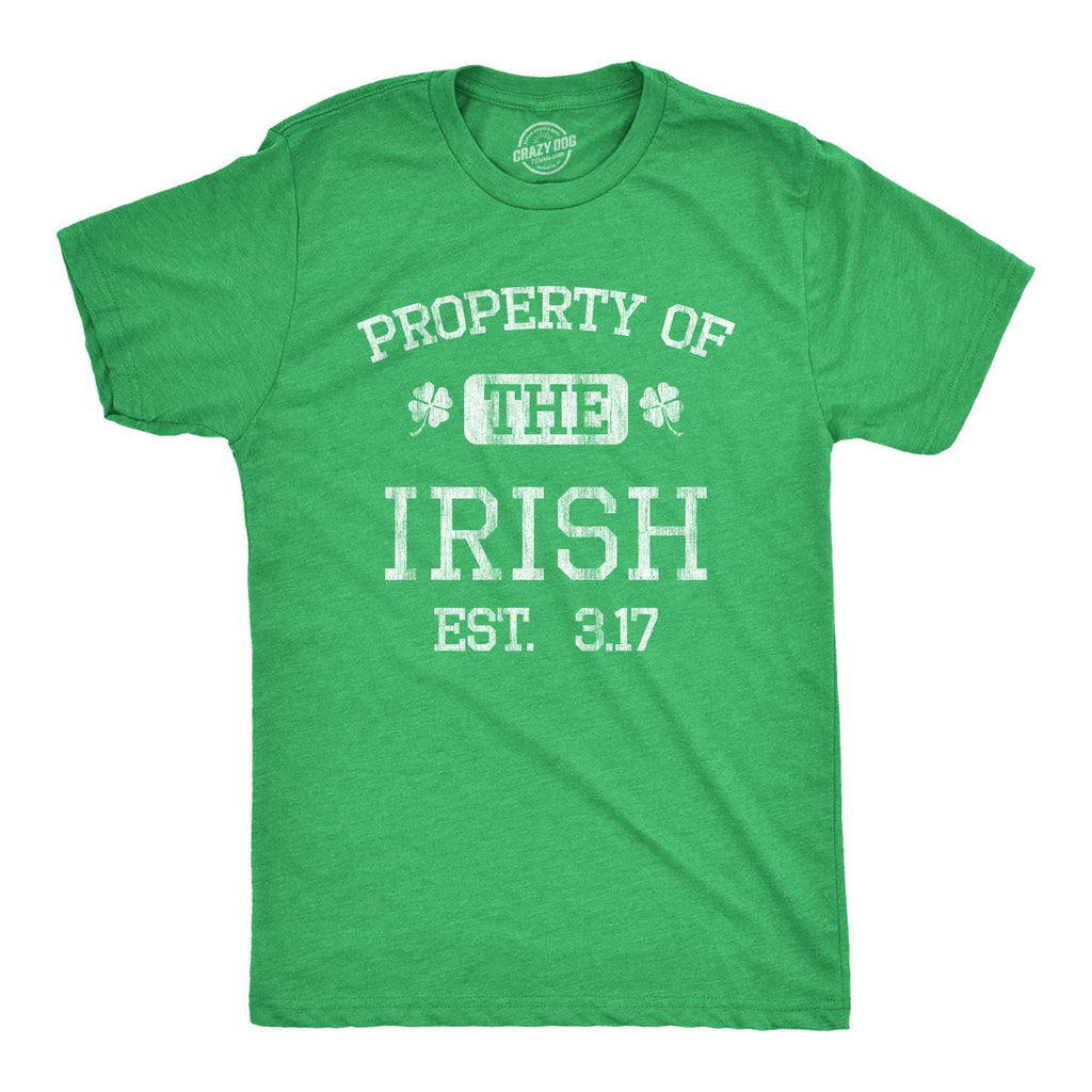 Property of the Irish Men's - Adult & Kids T-Shirts, Sweatshirts & Hoodies apparel design preview 1