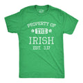 Property of the Irish Men's - Adult & Kids T-Shirts, Sweatshirts & Hoodies apparel design preview 1