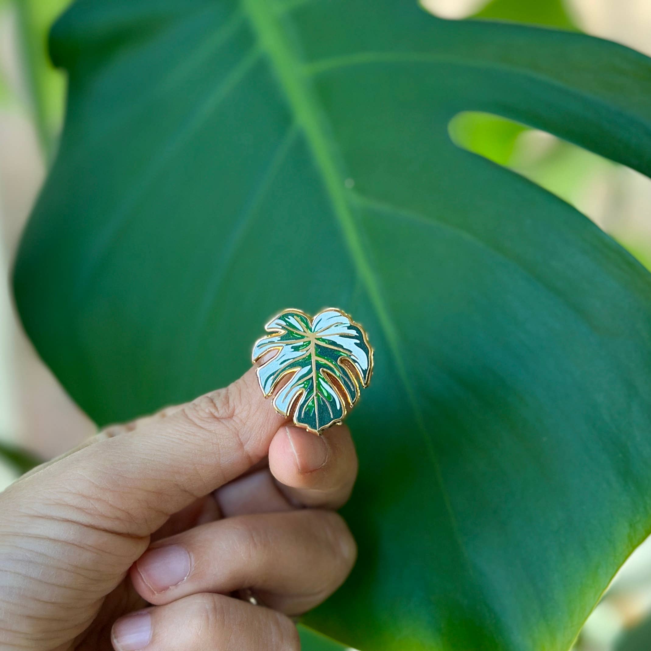 Monstera Variegated Leaf Enamel Pin Plant - Adult & Kids T-Shirts, Sweatshirts & Hoodies apparel design preview 1
