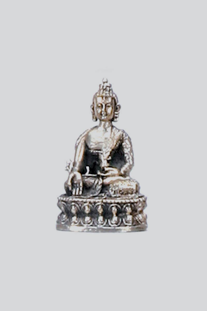 Medicine Buddha Small Statue (S-19) - Adult & Kids T-Shirts, Sweatshirts & Hoodies apparel design preview 1