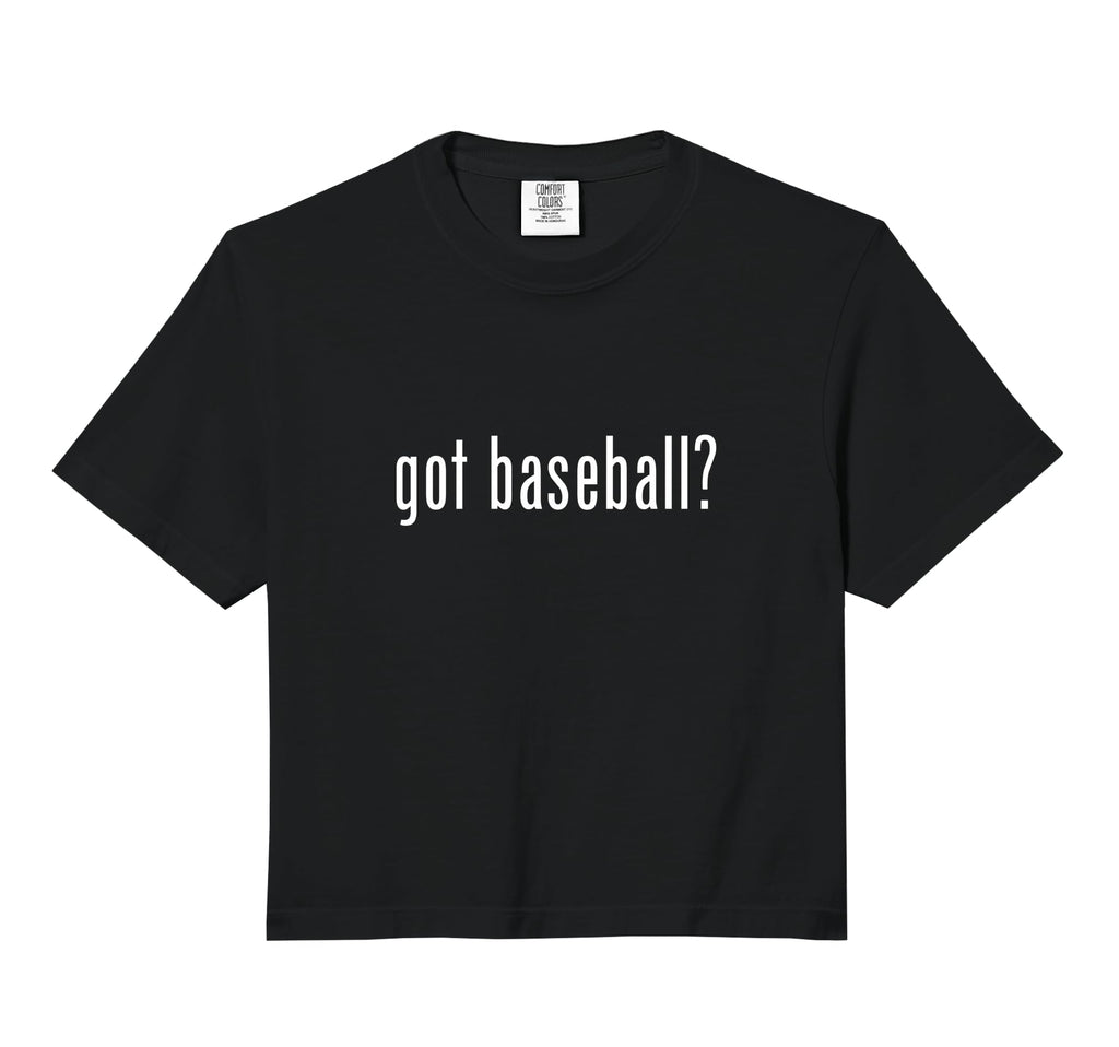 Got Baseball Funny Baseball Player Hoodie - Aesthetic Graphic for Adults - T-Shirt, Sweatshirt, Hoodie