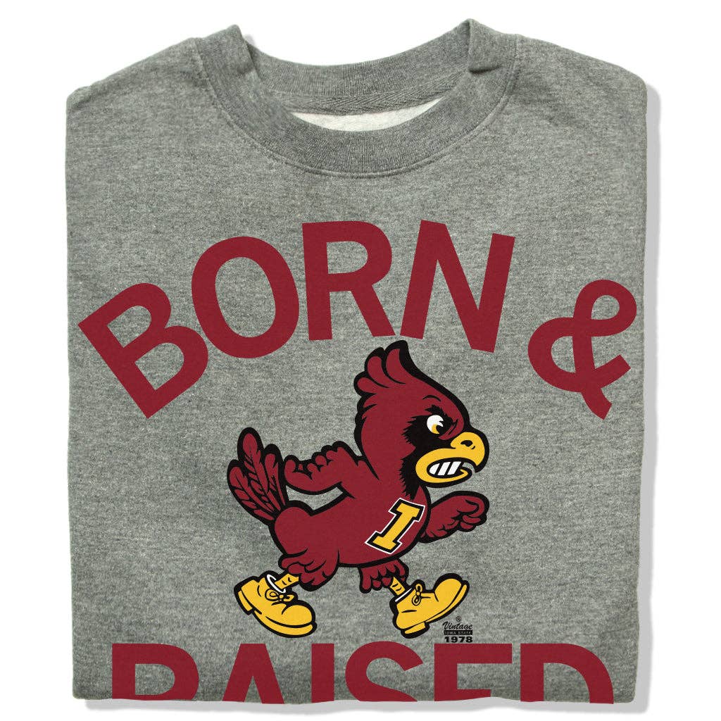 Cyclones Born Raised Vintage Grey Crew - Adult & Kids T-Shirts, Sweatshirts & Hoodies apparel design preview 1