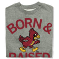 Cyclones Born Raised Vintage Grey Crew - Adult & Kids T-Shirts, Sweatshirts & Hoodies apparel design preview 1