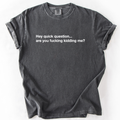 Hey Quick Question, Are You Kidding Me, Sarcastic - Adult & Kids T-Shirts, Sweatshirts & Hoodies apparel design preview 1