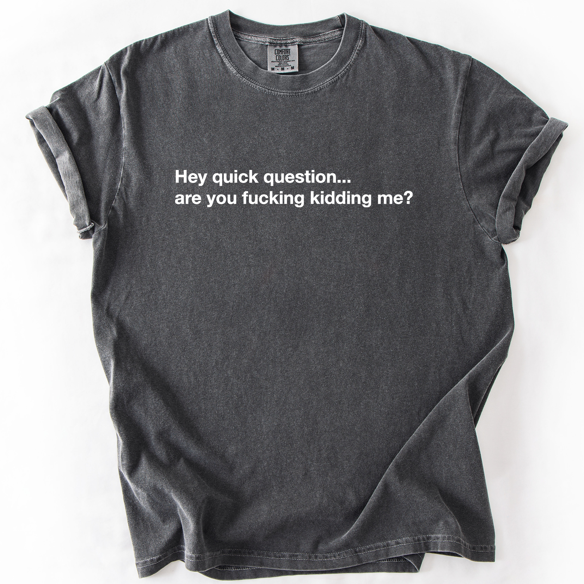 Hey Quick Question, Are You Kidding Me, Sarcastic - Adult & Kids T-Shirts, Sweatshirts & Hoodies apparel design preview 1