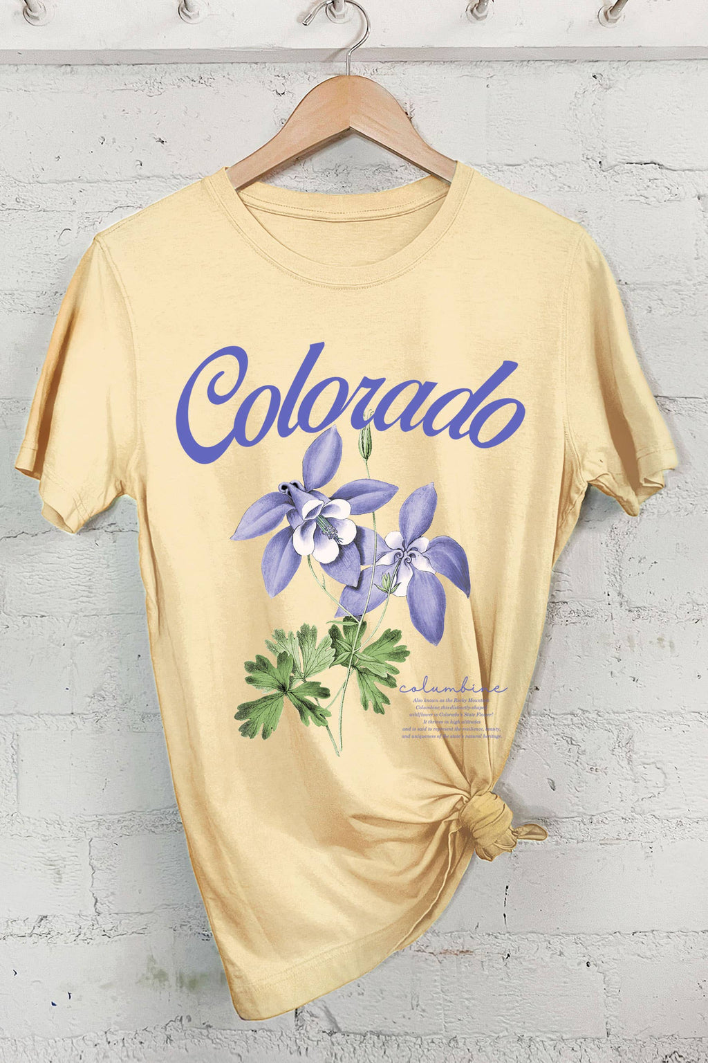 Colrado Columbine Graphic - Adult & Kids T-Shirts, Sweatshirts & Hoodies apparel design preview 1