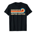 Canchola 70S 80S Sunset Stripe T-Shirt - Minimalist Print Unisex - T-Shirt, Sweatshirt, Hoodie
