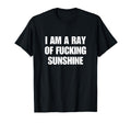 I Am Ray Fucking Sunshine Y2K Aesthetic T-Shirt - Unique Graphic Unisex - T-Shirt, Sweatshirt, Hoodie