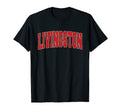 Livingston Mt Montana Varsity Usa T-Shirt - Aesthetic Graphic for Adults - T-Shirt, Sweatshirt, Hoodie