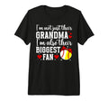 Their Biggest Fan Softball Baseball T-Shirt - Aesthetic Graphic for Adults - T-Shirt, Sweatshirt, Hoodie