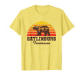 Gatlinburg Tennessee Great Smoky T-Shirt - Streetwear Style for Adults - T-Shirt, Sweatshirt, Hoodie