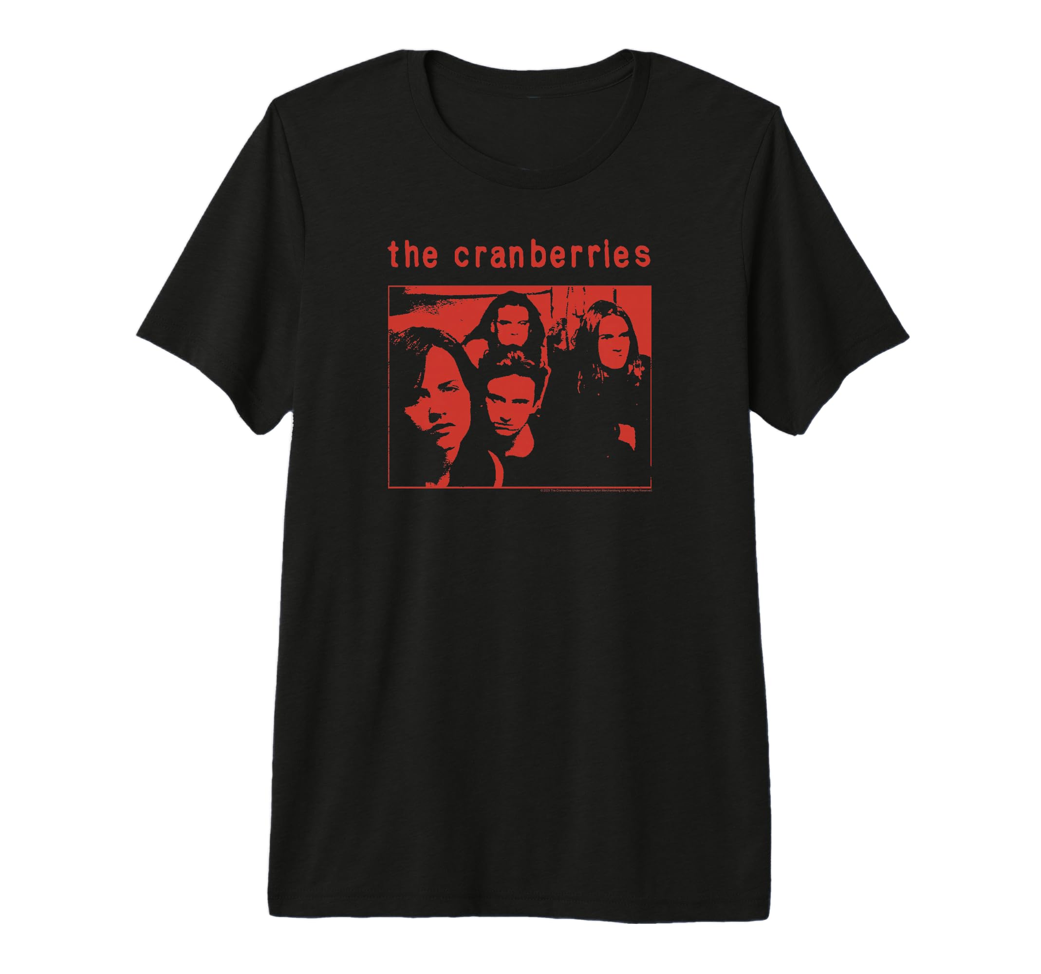 Cranberries 95 World Tour Front Back T-Shirt - Custom Art Print Men Women - T-Shirt, Sweatshirt, Hoodie