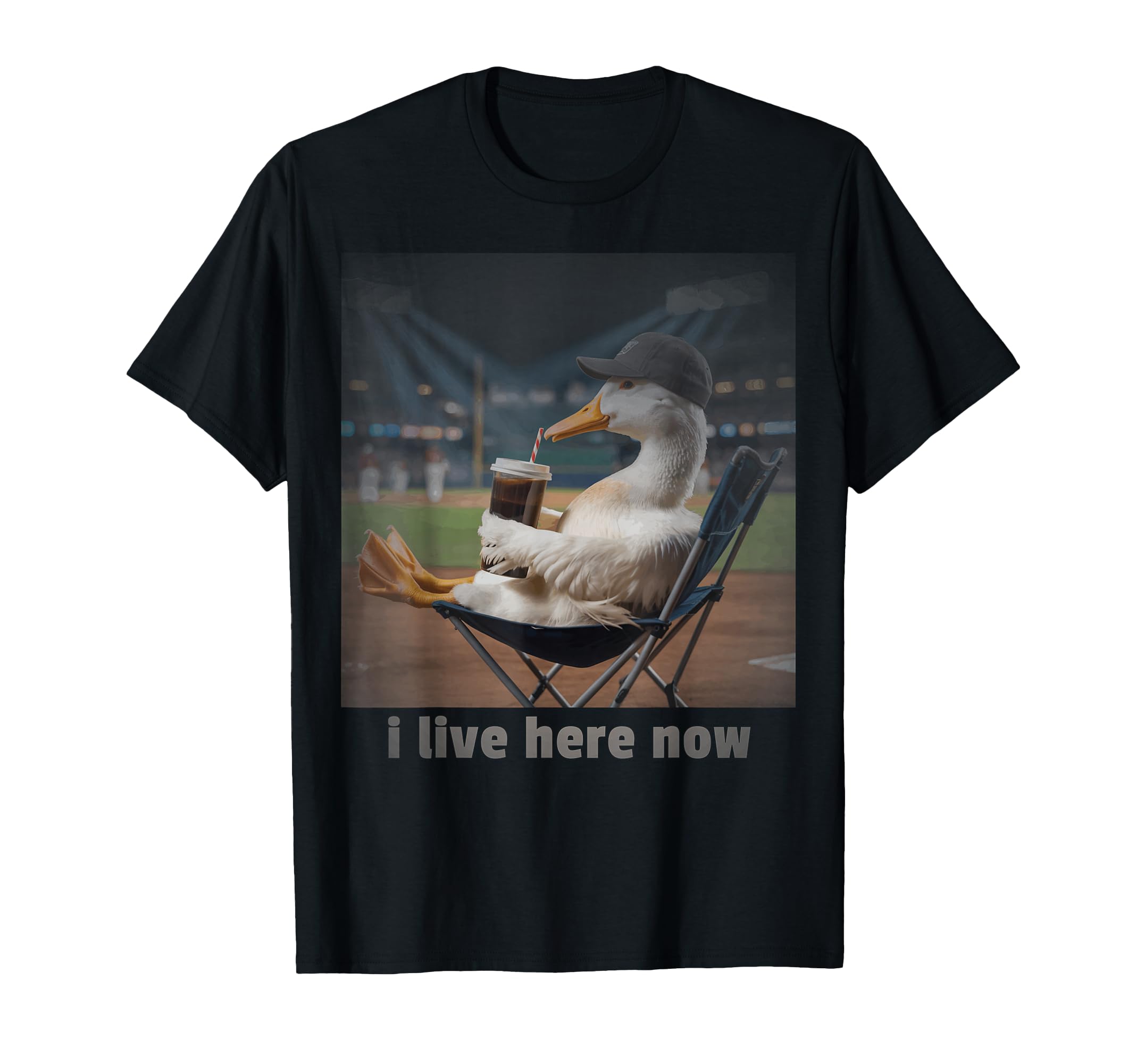 Silly Goose I Live Here Now Baseball T-Shirt - Aesthetic Graphic Men Women - T-Shirt, Sweatshirt, Hoodie