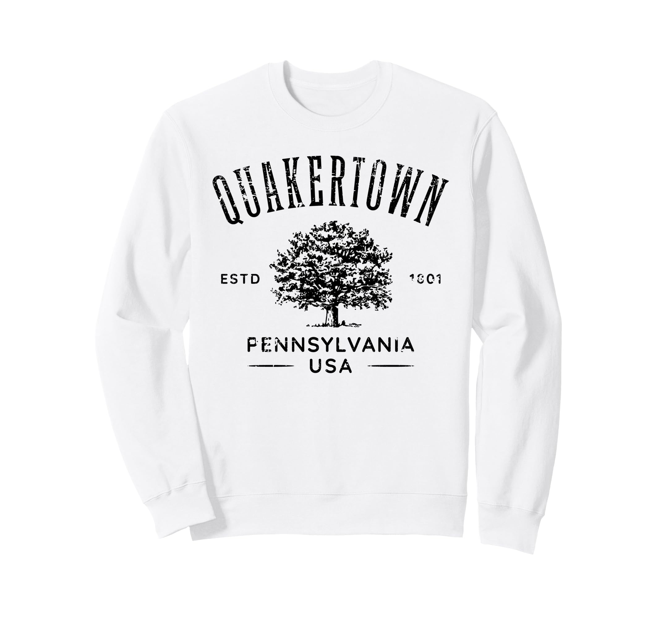 Quakertown Pennsylvania Sweatshirt - Aesthetic Graphic for Adults - T-Shirt, Sweatshirt, Hoodie