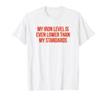 Iron Level Even Lower Than Standards T-Shirt - Minimalist Print Men Women - T-Shirt, Sweatshirt, Hoodie