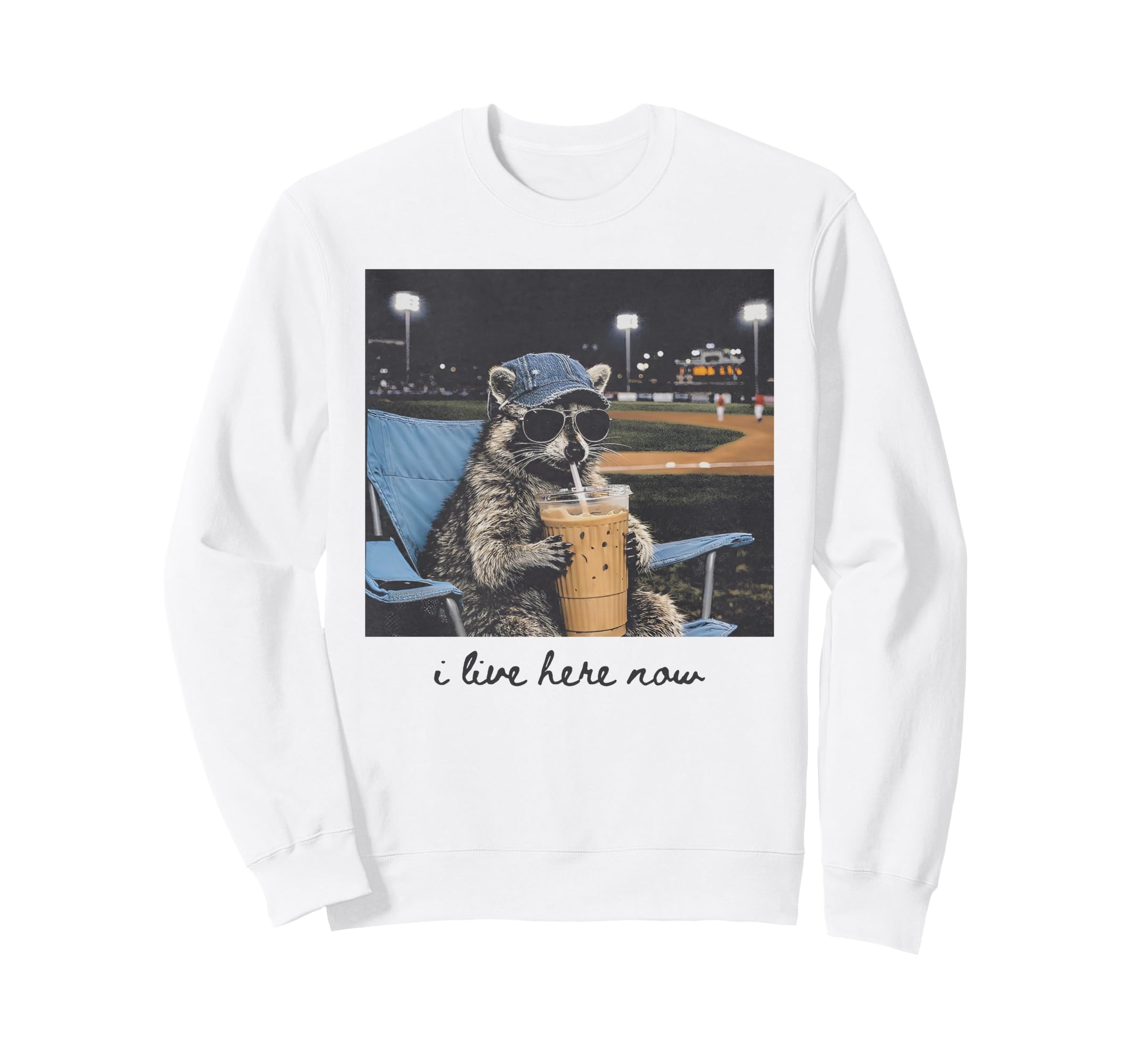 I Live Ballfield Now Raccoon Sweatshirt - Custom Art Print Men Women - T-Shirt, Sweatshirt, Hoodie